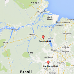mapa dos municípios - Pará